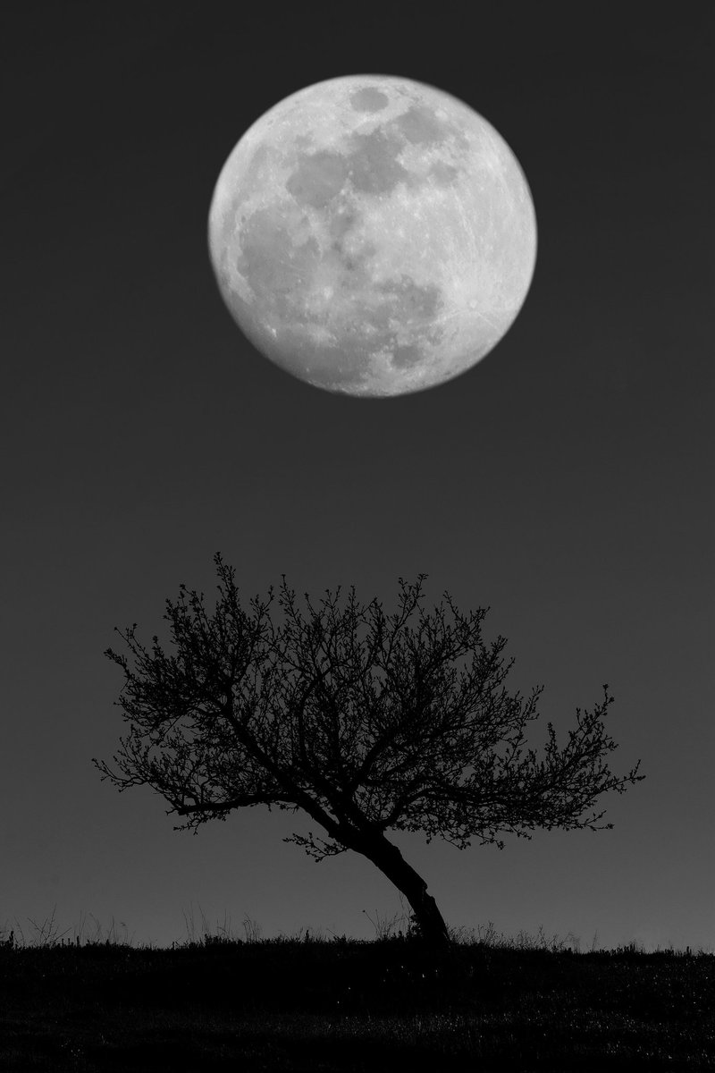 Abbas_rahmani63's tweet photo. Gm, happy #tezostuesday!

"Big Moon"   10 #tezos

#Photography
Link:
https://t.co/8udJMgmQ4B https://t.co/pEspLDwUzq