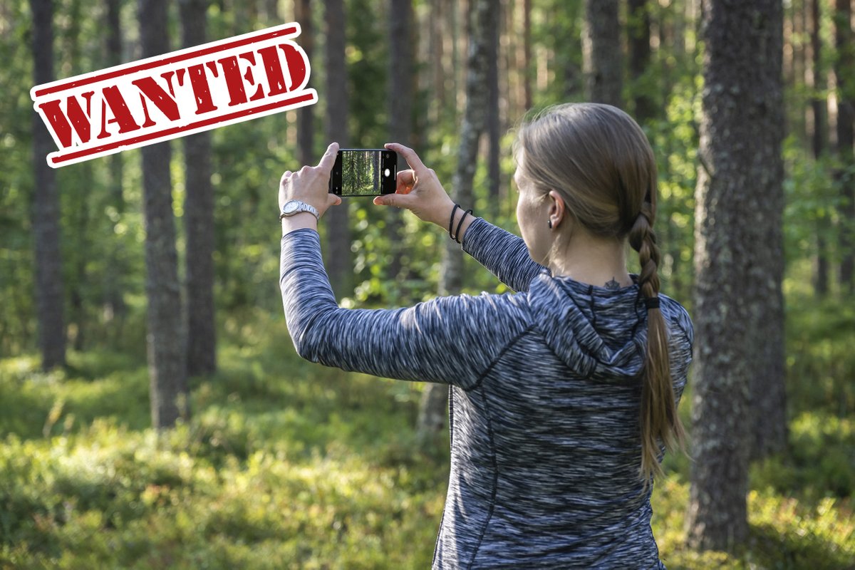 Metsämiesten Säätiö haluaa nostaa esille metsäalan työnantajia, jotka rohkaisevat ja tukevat työntekijöitään henkilökohtaiseen viestintään eli metsäalan positiiviseen esiintuontiin esim. kouluissa, sosiaalisessa mediassa, lehdissä ja radiossa. Viestintää tukeva työnantaja