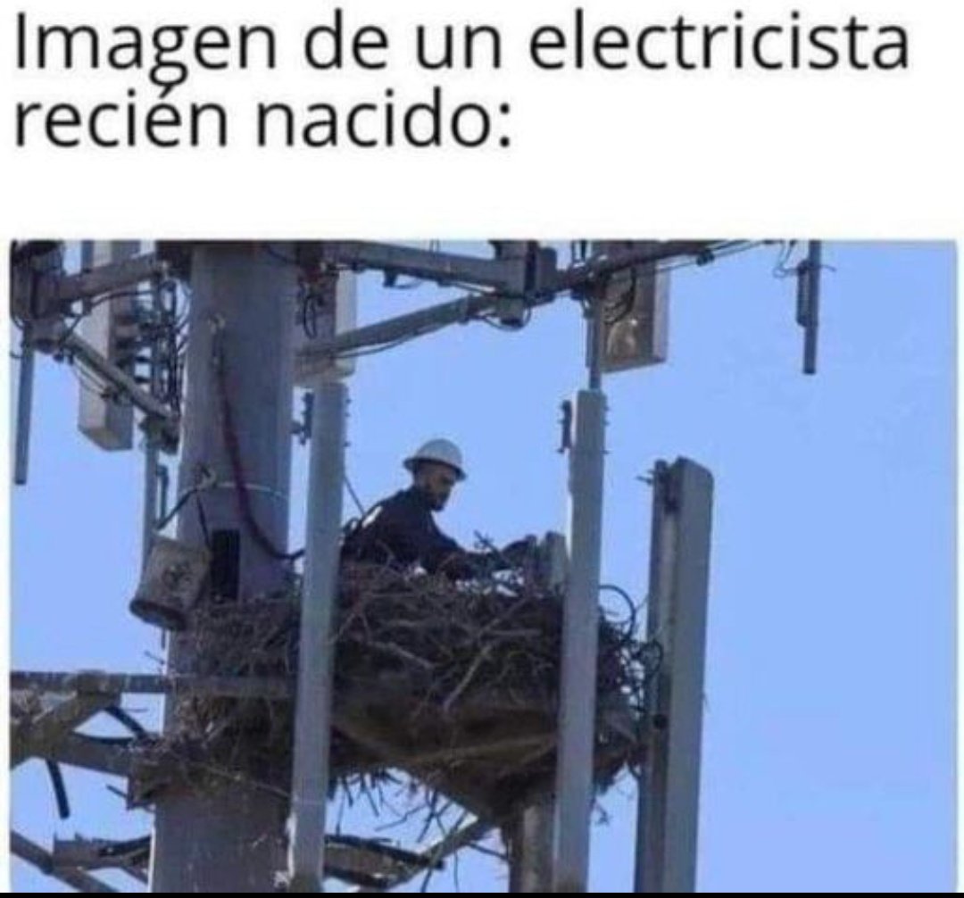 ymuchosmemes's tweet image. 