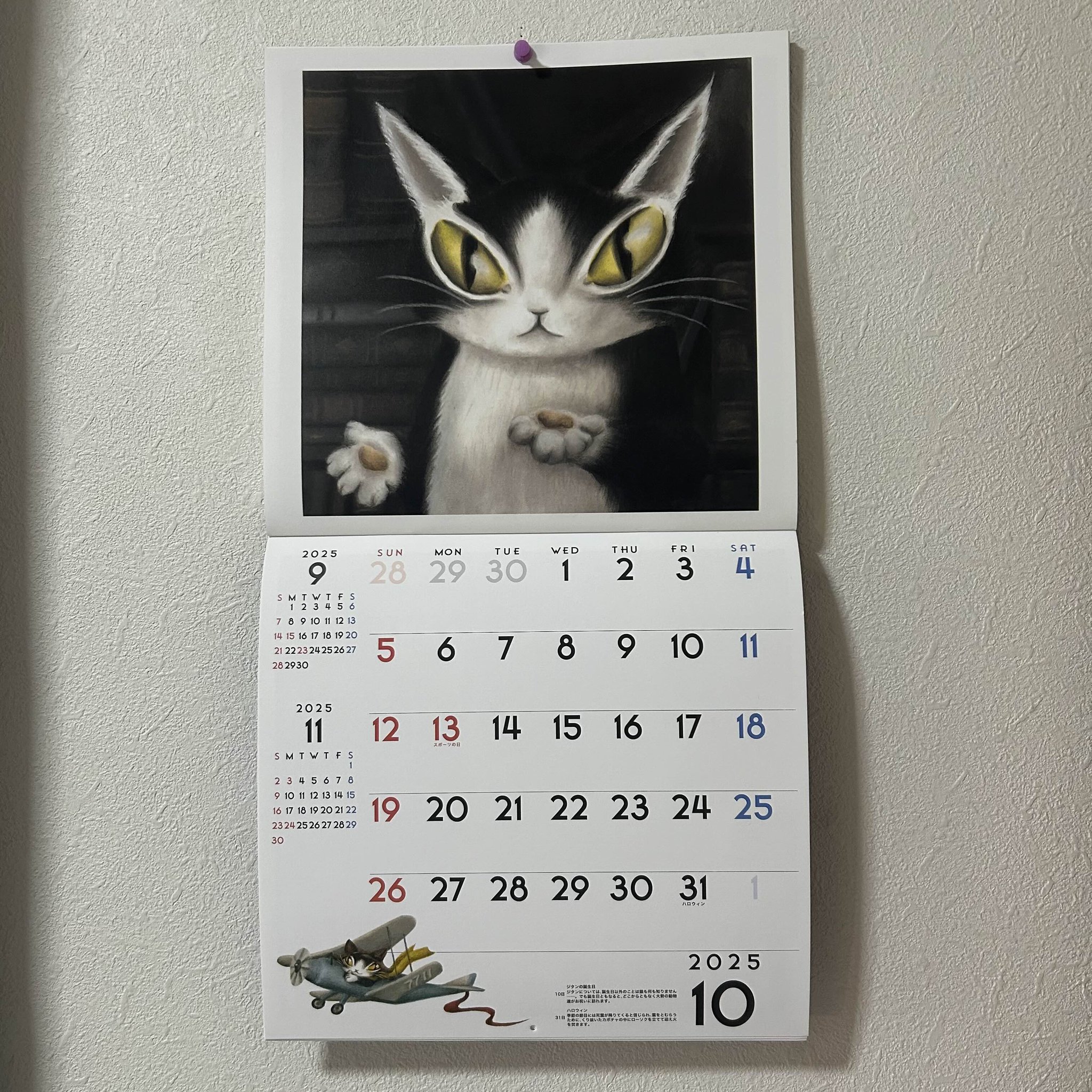 猫が邪魔で何も見えないカレンダー 猫が邪魔で何も見えないカレンダー 猫が邪魔で何も見えないカレンダー