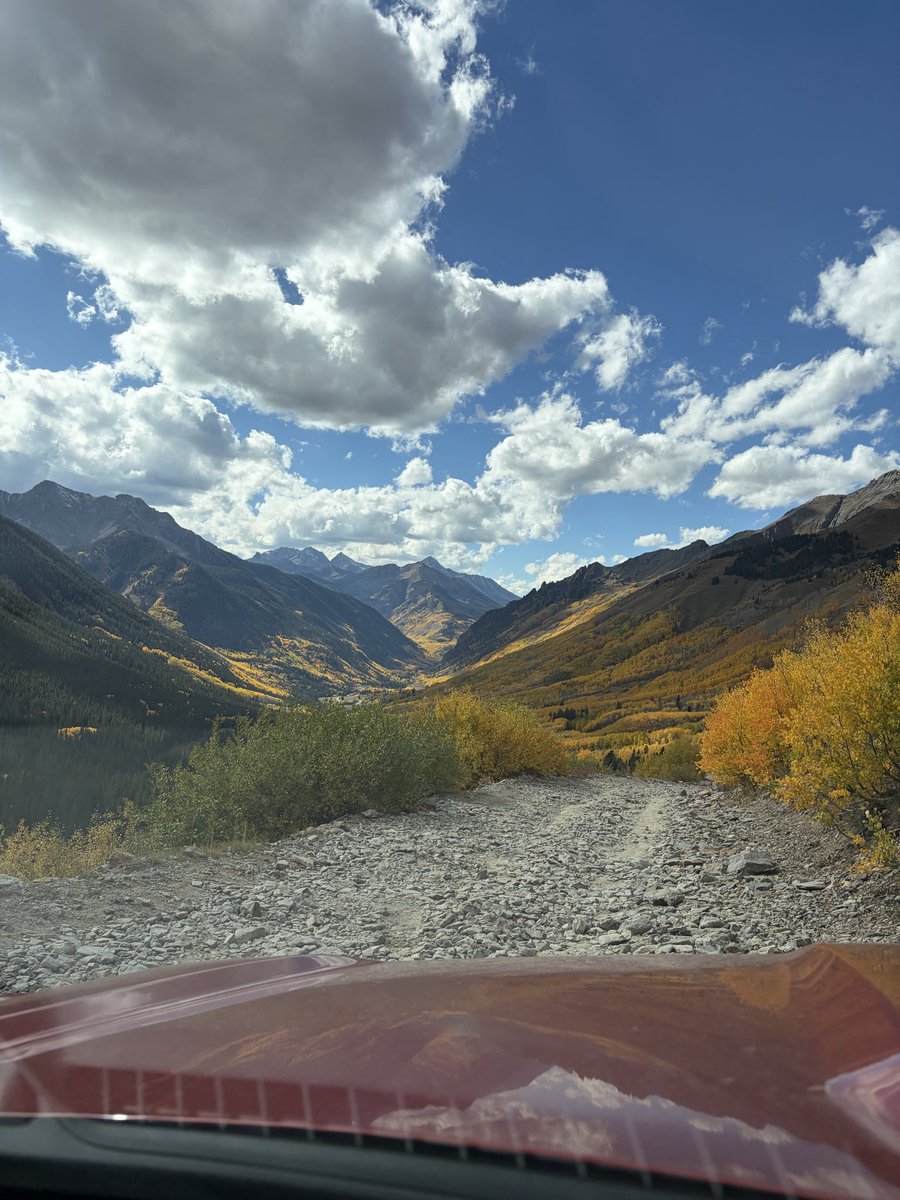 ObfuscatedRc's tweet image. Try Again Jew’s. I dare you