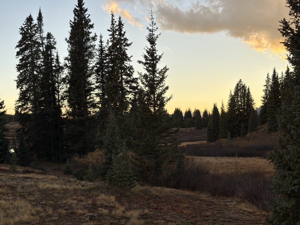 ObfuscatedRc's tweet image. Try Again Jew’s. I dare you