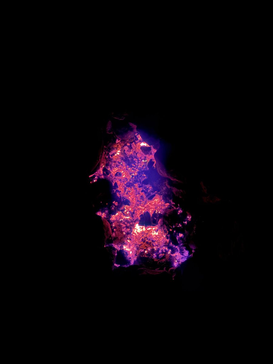 ObfuscatedRc's tweet image. Try Again Jew’s. I dare you