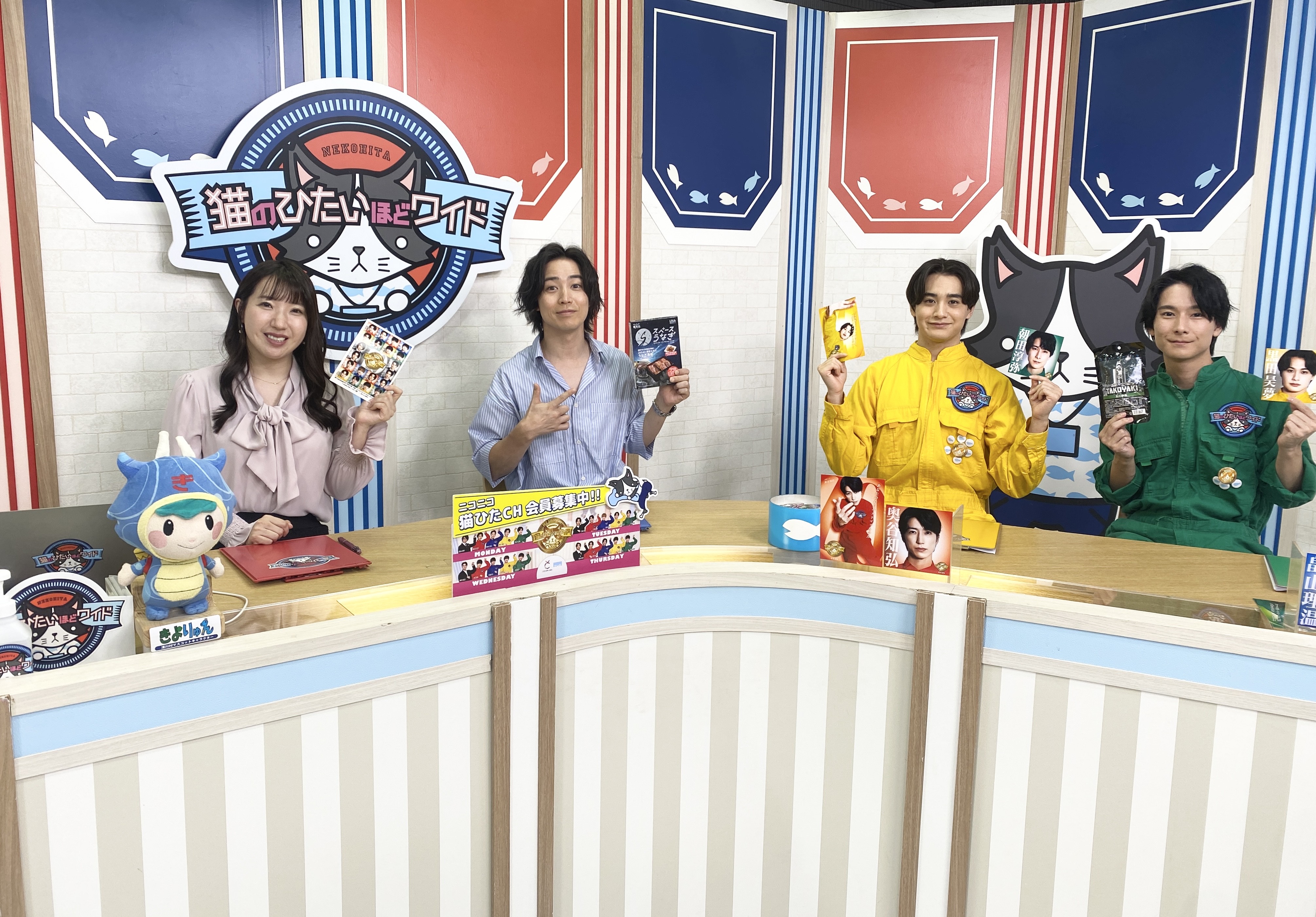 猫のひたいほどワイド　番組箱推しタオル　値引き可能 猫のひたいほどワイド 番組箱推しタオル 値引き可能 推し色 9色