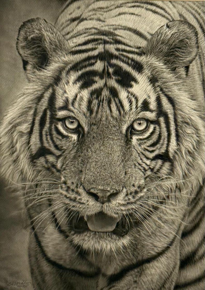 You are in mid-life and stuck? Good. 

That means you are not done yet. 
You have built a life, a career, a reputation, but lately something feels off.

Not because you have failed, but because you have outgrown your own story. 

Work doesn't excite you, success doesn't fulfill