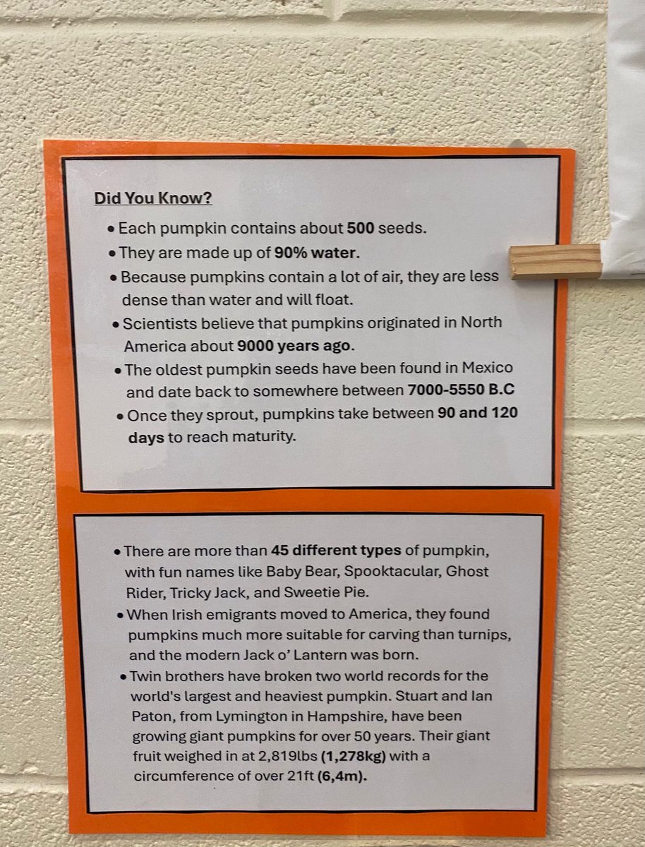bennekerryns's tweet image. All pupils will visit our Halloween themed table this week to answer some pumpkin related maths questions! 🎃 
#MATHSWEEK2025 #IUSEMATHS @mathsweek