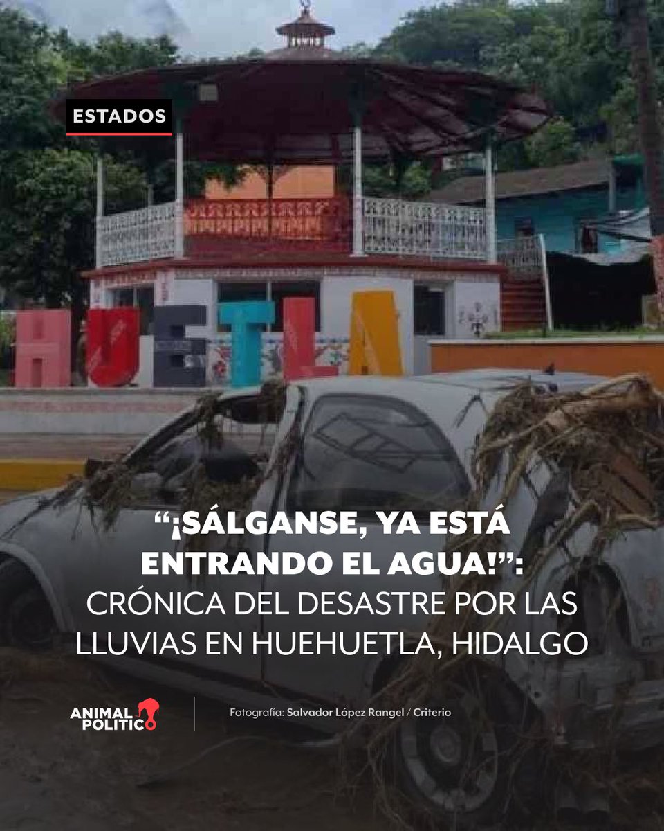 Pajaropolitico's tweet photo. 🔴Entre el pasado 9 y 10 de octubre, las fuertes lluvias provocaron el desbordamiento del río Pantepec, en Huehuetla, Hidalgo.

Los habitantes fueron advertidos por la campana de la iglesia y algunos lograron ponerse a salvo en azoteas. 
https://t.co/92gnXwg65i https://t.co/ZhVu4cROBZ