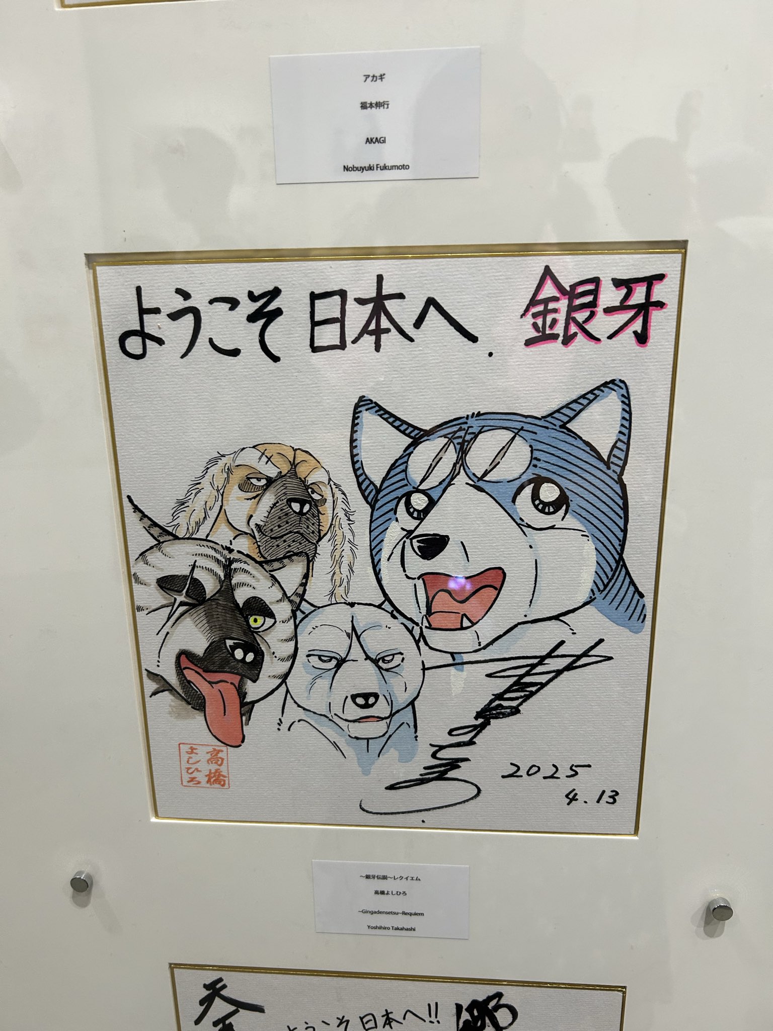 高橋よしひろ　『銀牙伝説ウィード』　直筆イラストサイン入り色紙 高橋よしひろ直筆色紙「銀牙伝説ウィード」