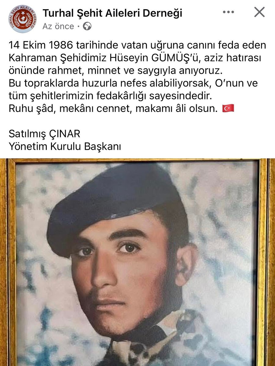 satılmış çınar (@satlmnar2) on Twitter photo 