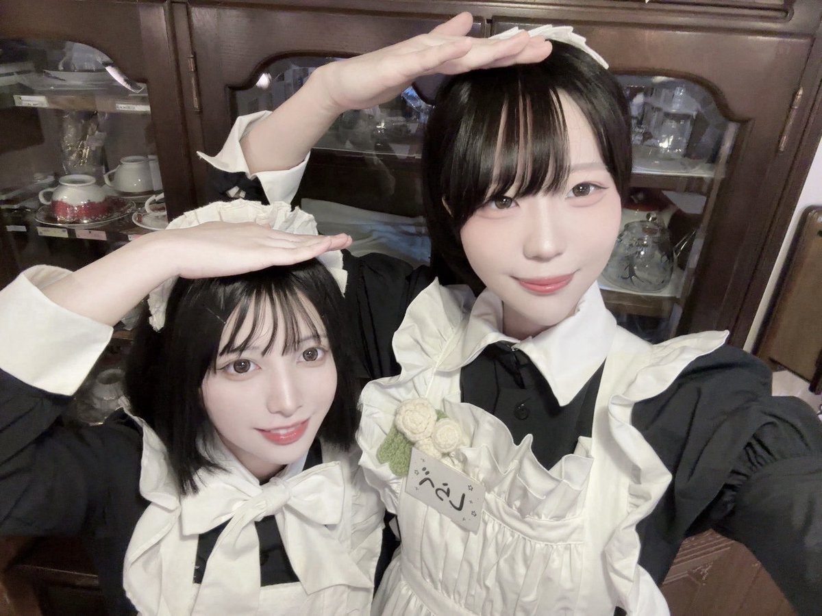 アイヴィーさん🦖と🐢