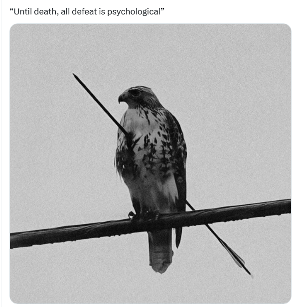 . tweet media
