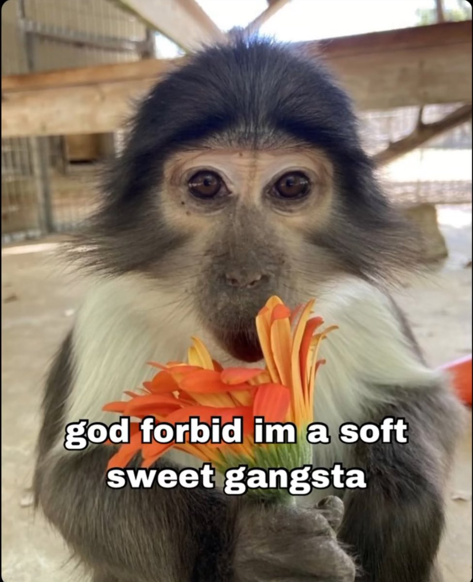 whotfisjovana's tweet image. 