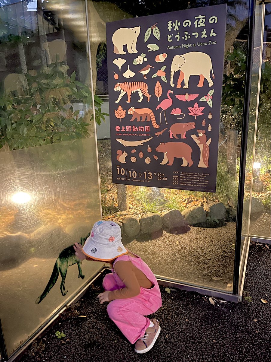 gigimom14's tweet photo. 初めてNight ZOOしてきた!@上野動物園
夜ならではの動物の姿が見れたりして楽しかった〜🥰
最近は動物&昆虫(に関するクイズ)に激ハマり中👦🏻
#5y2m https://t.co/cHlkdwEAXk