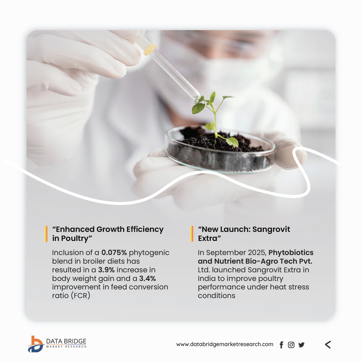 Global #FeedPhytobiotics Market is fueling the shift toward sustainable &amp; antibiotic-free livestock nutrition!

💰 Market to grow from USD 1.78B (2024) ➜ USD 3.24B (2032)

🔗 Explore insights: databridgemarketresearch.com/reports/global…

#DBMR #AnimalNutrition #FeedAdditives #SustainableFarming