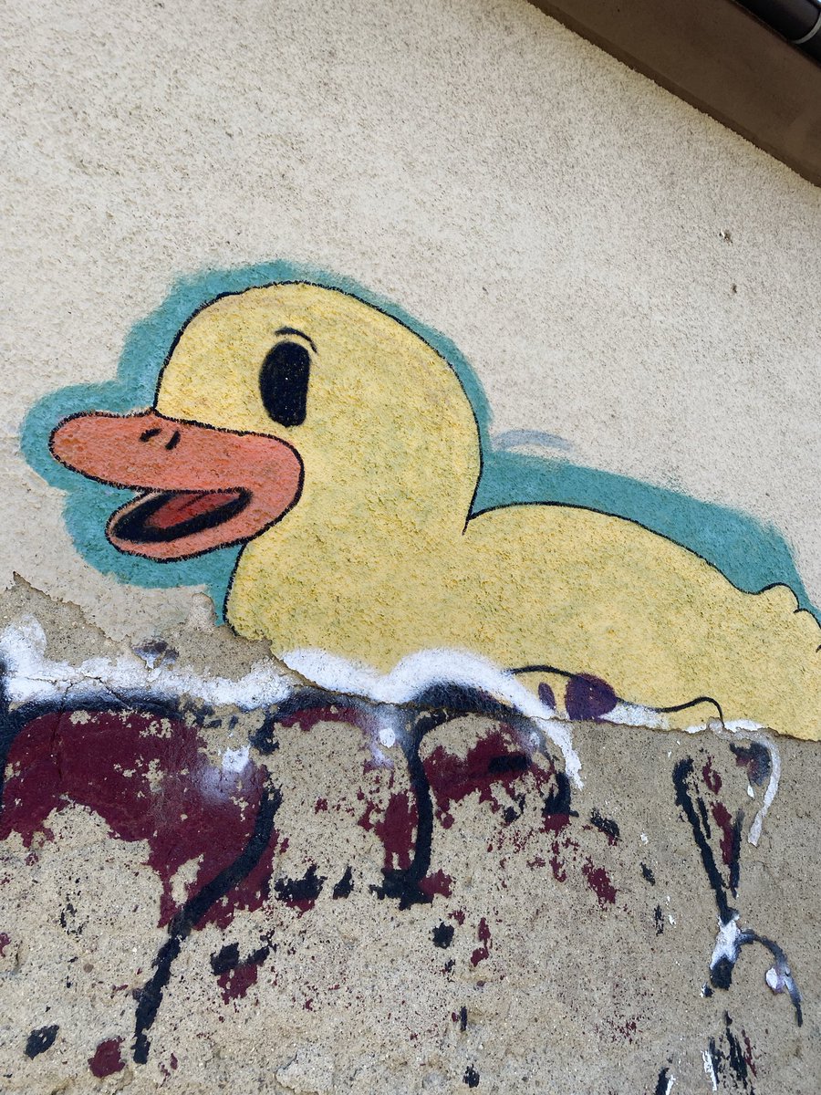 Sonia Zuccaro tweet media