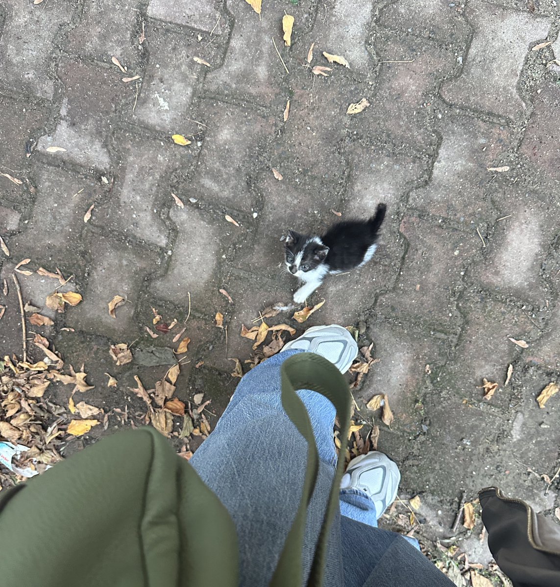 Yakında çook uzaklara taşınacağımız için bu fındığı yanıma alamadım🥹