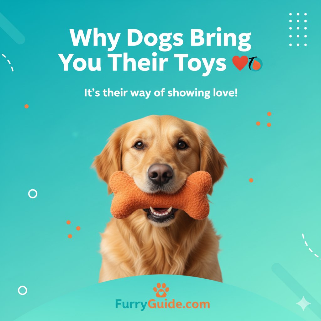 FurryGuide.com (@furry_guide) / Posts / X