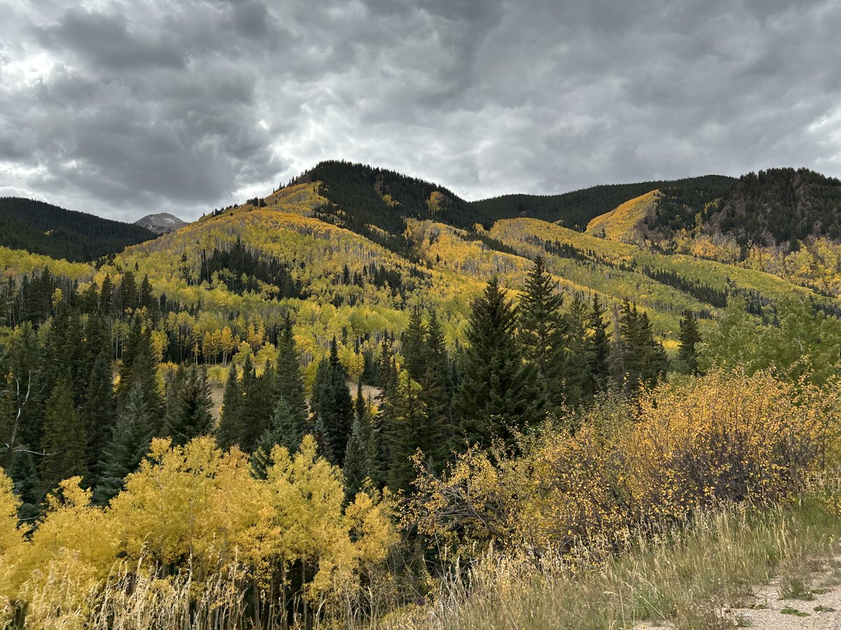 Boaz Witbeck tweet media