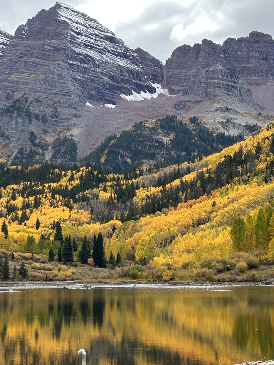 Boaz Witbeck tweet media