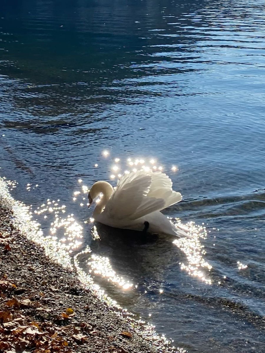 Sanma ki hakkın kalır ademde,

Kağıt şahittir, yazan kalem de,

Bırak ertelensin tüm duruşmalar,

 Şaşmaz adalet ilahi alemde... 

Cahit Zarifoğlu