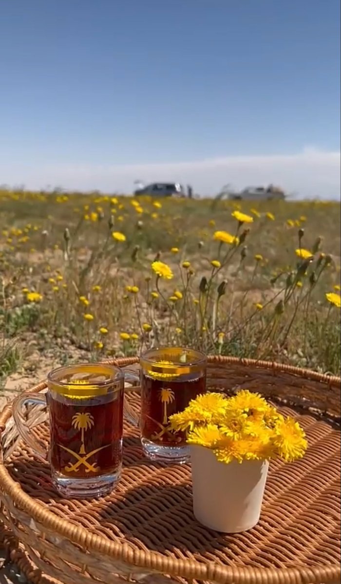 #صبحكم الله بالخير والنور والسرور 
والسعاده والمحبة والصحة والعافية 🌼🌸