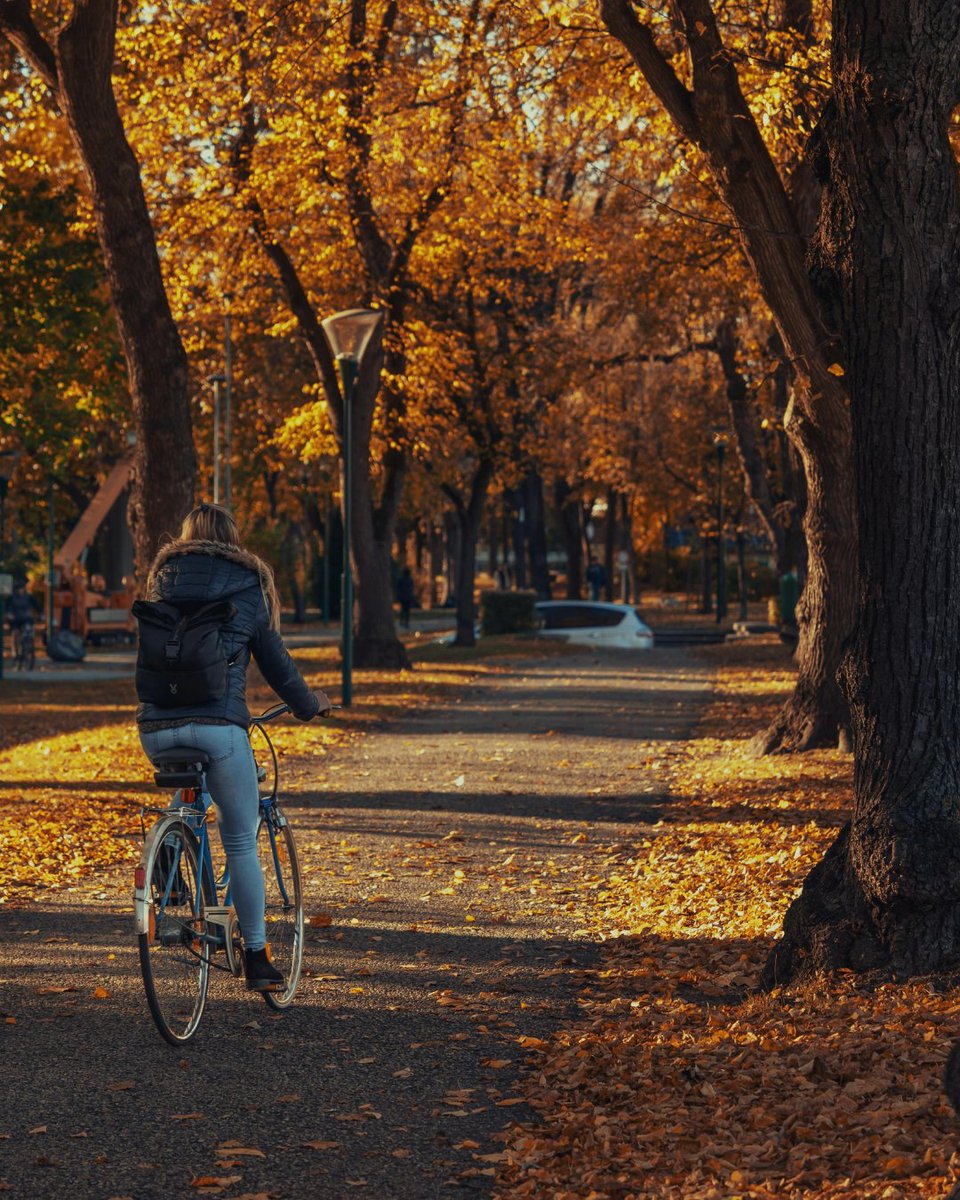 Let’s be honest, the hardest part of biking to work or school in the morning isn’t the hill.
It’s convincing yourself to leave the bed. 😎
But once you do... the rest is downhill.

So get up, get moving... your day starts better on two wheels. 🚲

#ActiveMobility #move #bikeride