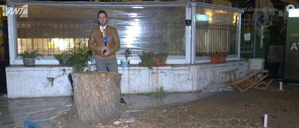 AntennaNews's tweet photo. Μοναστηράκι: Τεράστιος κορμός δέντρου έπεσε δίπλα σε τραπεζοκαθίσματα| https://t.co/iLQz93QhAk
#ant1news #μοναστηρακι @ItsLazos https://t.co/TkCwE9EhL2