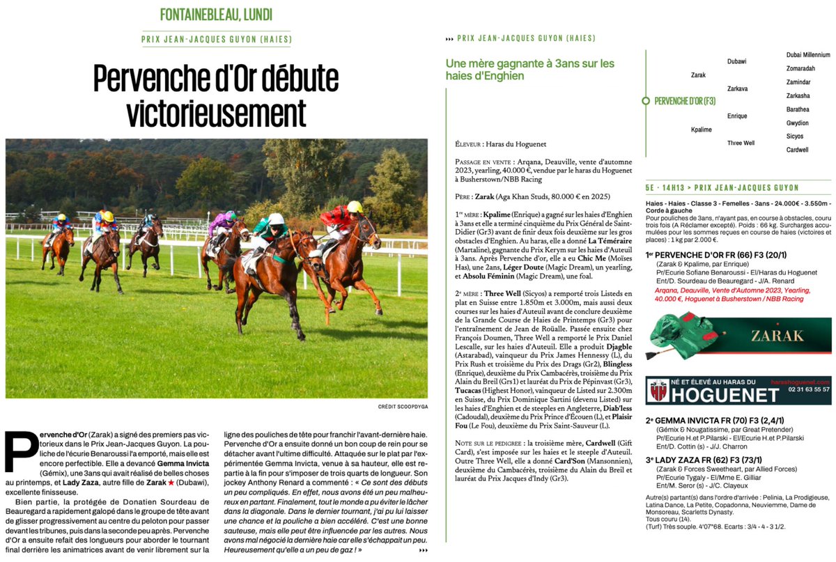 Haras du Hoguenet (@harasduhoguenet) on Twitter photo 