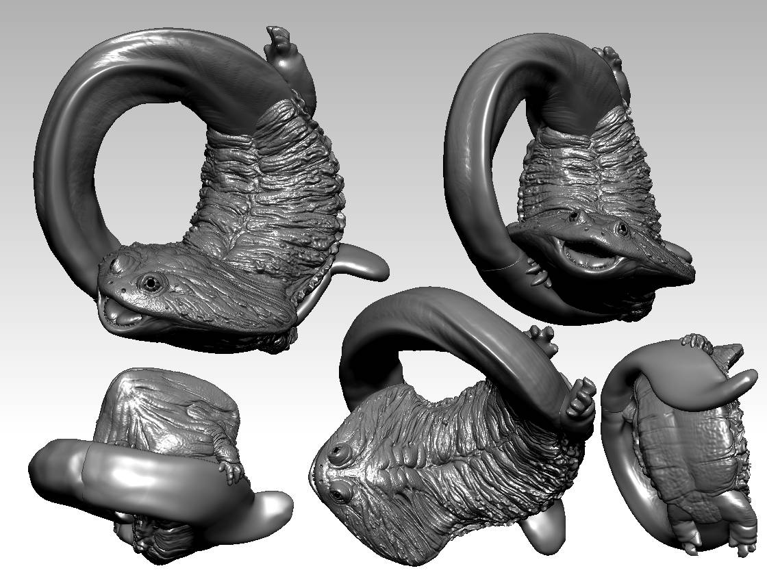 次なる根付の予感
今度は古生物で三角頭のやつ