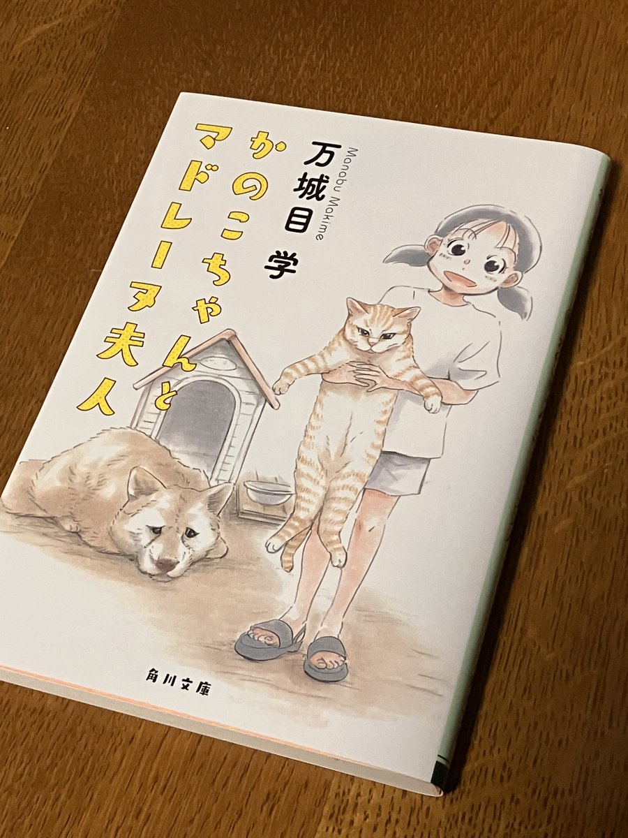 ねこ♡ページ ねこページ ねこページ もも‪‪☺︎‬ページ zx - Search / X‬