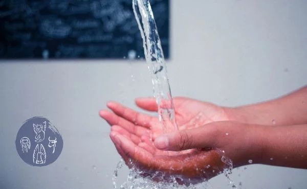 📖 #Evangelideldia (Lc 11, 37-41) 

“El fariseu es va estranyar quan veié que no s’havia rentat ritualment abans de dinar”. 

Només del fons d’un cor pur poden sortir obres bones. 
opusdei.org/ca-es/gospel/2…