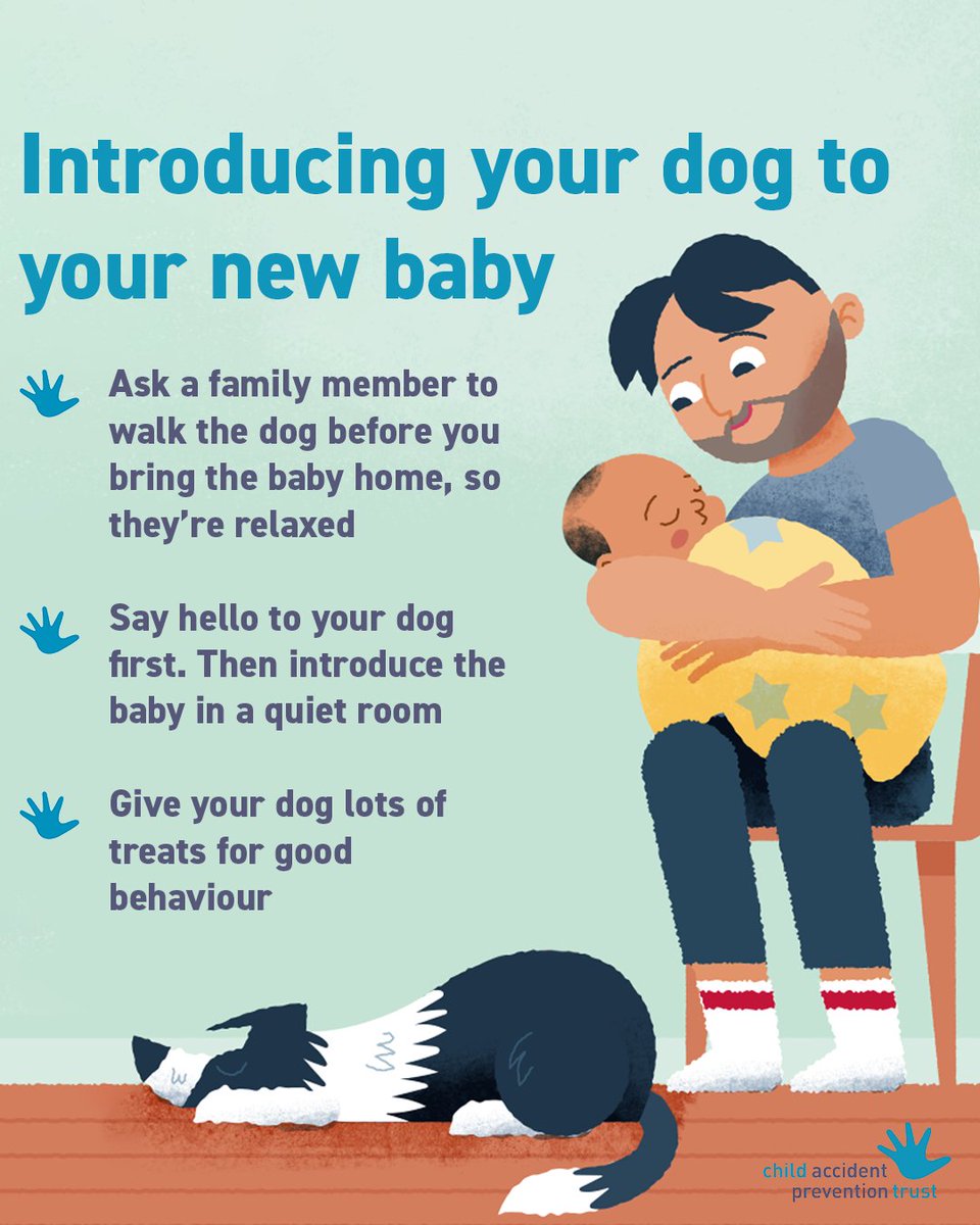 CAPTcharity's tweet image. It’s safest if your dog is happy around your new baby. For more top tips on preparing your dog for your new baby download our free fact sheet: capt.org.uk/.../your-dog-a…

#ChildSafety #DogSafety #DogsAndChildren #UKParents