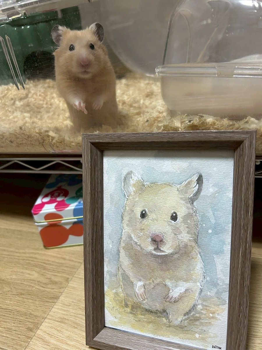 agemon_0511's tweet photo. 10月9日
メンチカツくんが虹の橋を渡っていきました🌈😢

投稿やTikTokの配信
途絶えてしまい申し訳ありません。

元気だった頃のメンチくんが
投稿やTikTokの動画で見れて嬉しい気持ちと悲しい気持ちで入り混じります。。

楽しい時間をありがとうメンチくん☺️ https://t.co/RiZRxBV9xR