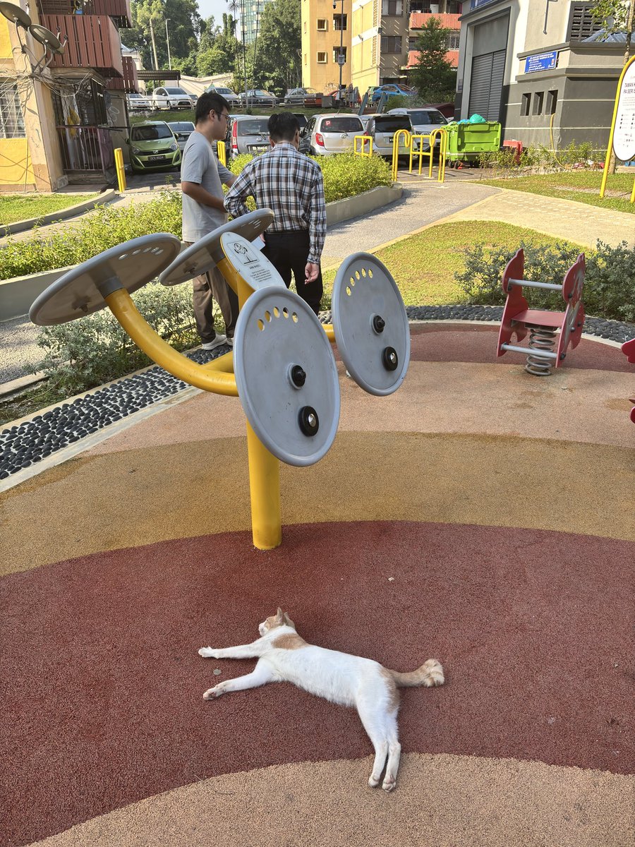 el (@elisahanimm) on Twitter photo 