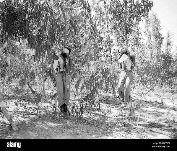 Taghrid Al-Mawed تغريد الموعد tweet media