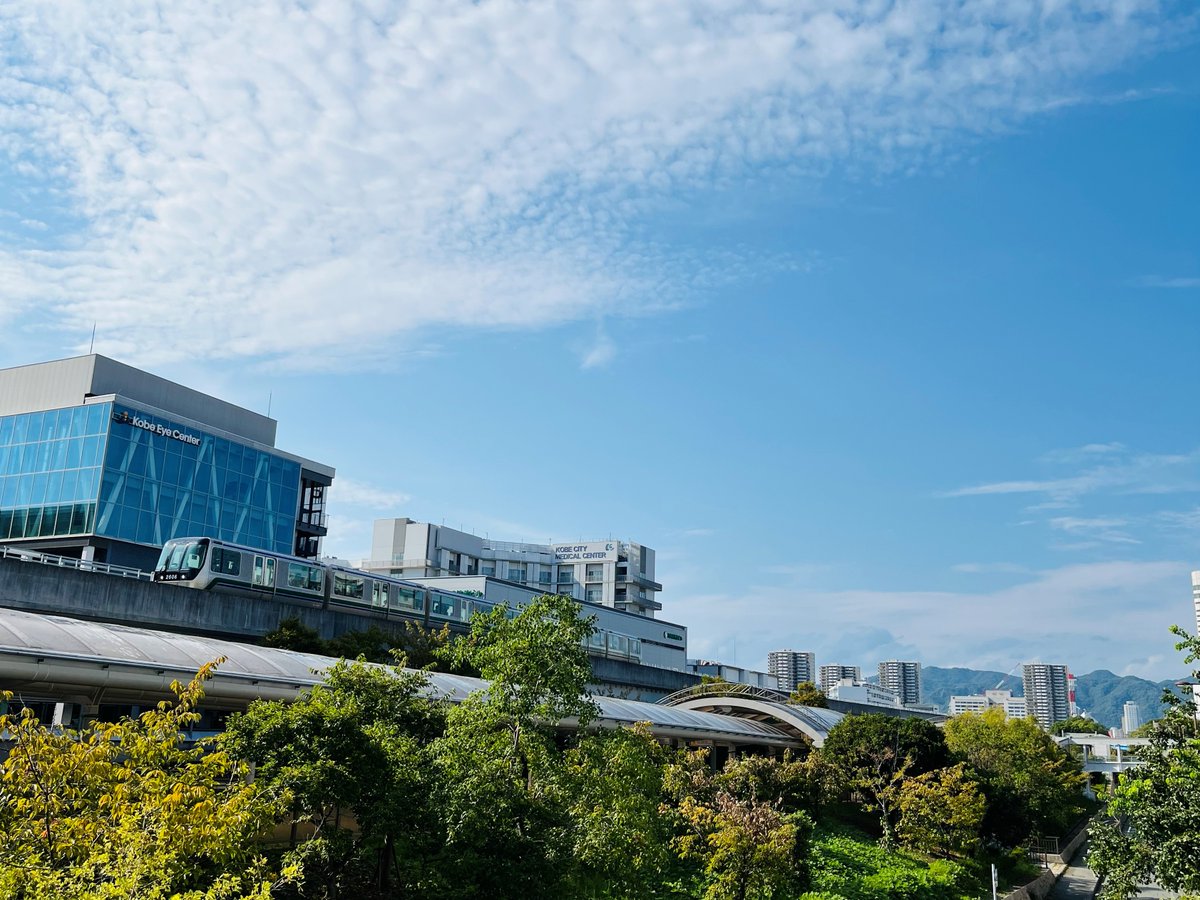 KBIC_kobe's tweet image. 本日は夕方から雨と聞きましたが、今のところ快晴です！！☀
#KBIC🏝憩いの場となる滞在空間🌳も、ほぼ完成したようです☺