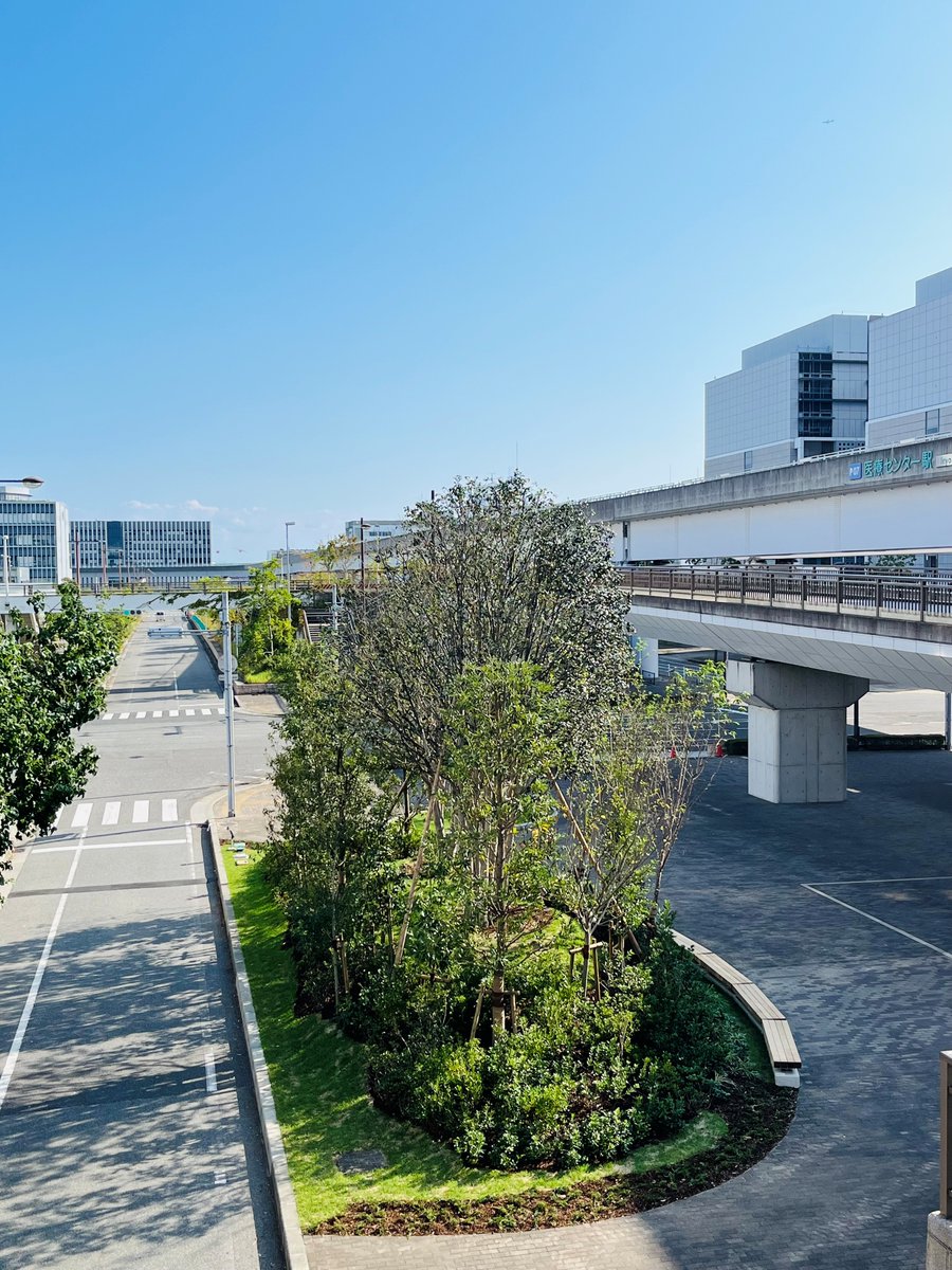 KBIC_kobe's tweet image. 本日は夕方から雨と聞きましたが、今のところ快晴です！！☀
#KBIC🏝憩いの場となる滞在空間🌳も、ほぼ完成したようです☺