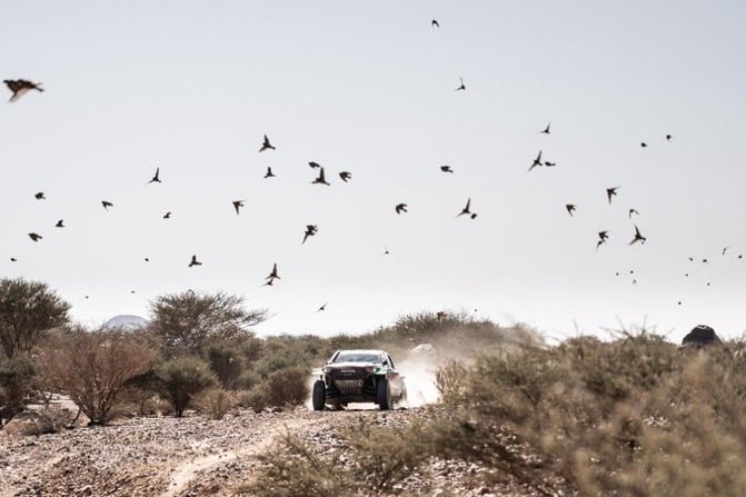 #RallyeDuMaroc

عطونا الاخبار 

وين وصل بطل بداكار