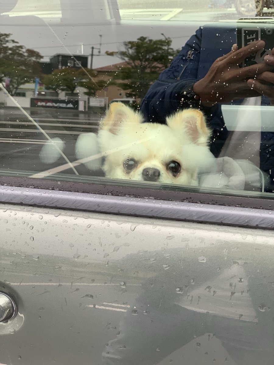 チルノ鼻息でガラスが曇った🤭