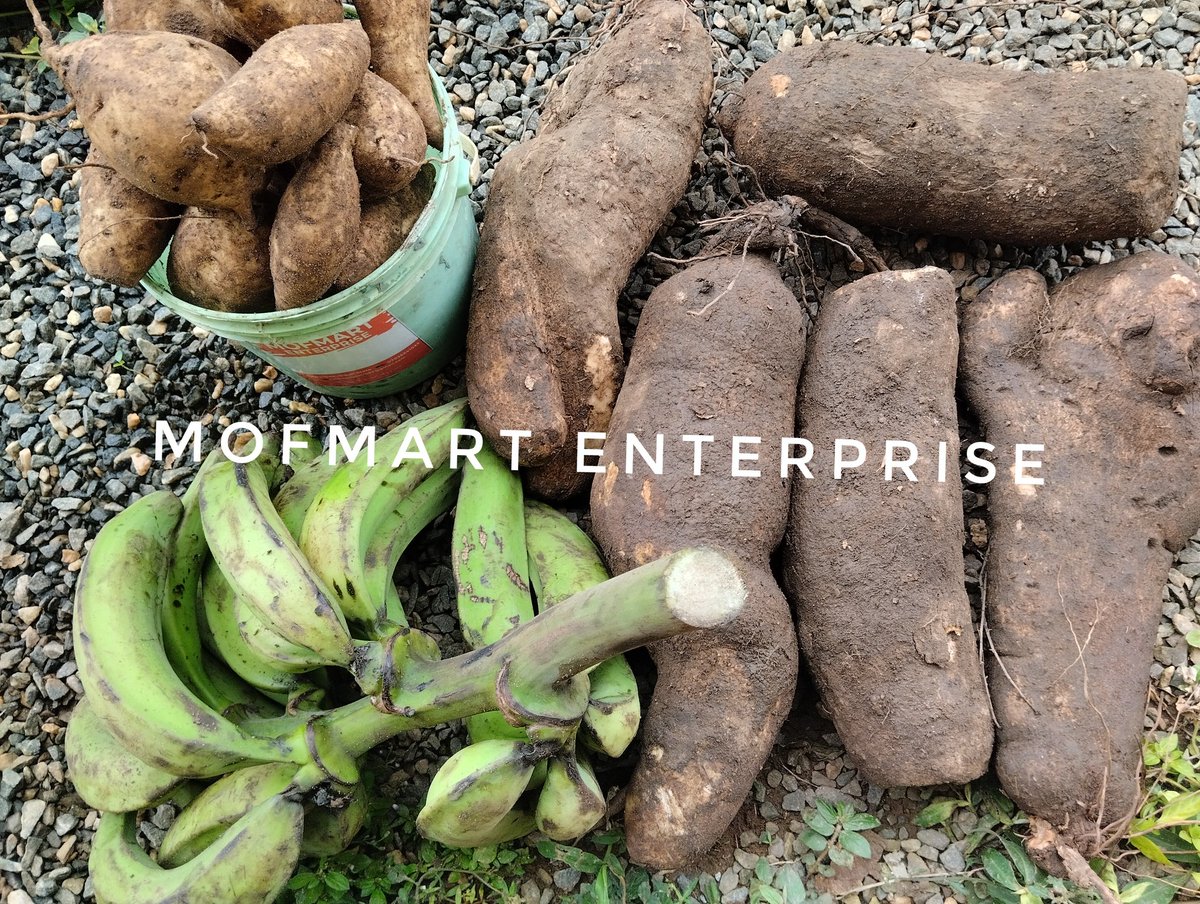 Opemart_venture's tweet image. Frame 1 : 25k
Frame 2: 37k
Frame 3: 70k

Waybill inclusive 

Location ogun state