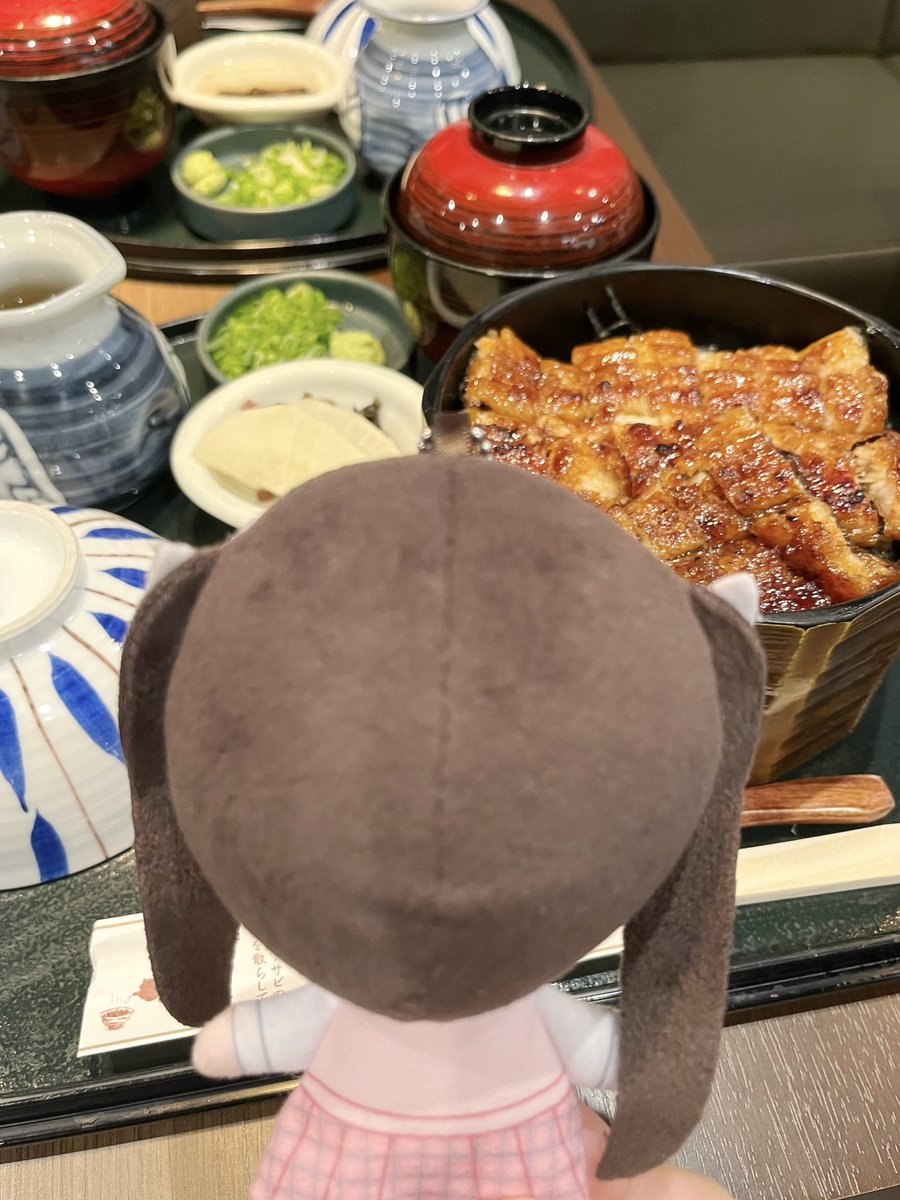 ひつまぶし、ももきゅんだよ
ももきゅん、ひつまぶしだよ
#おさんぽぬいきゅん 🥢✨