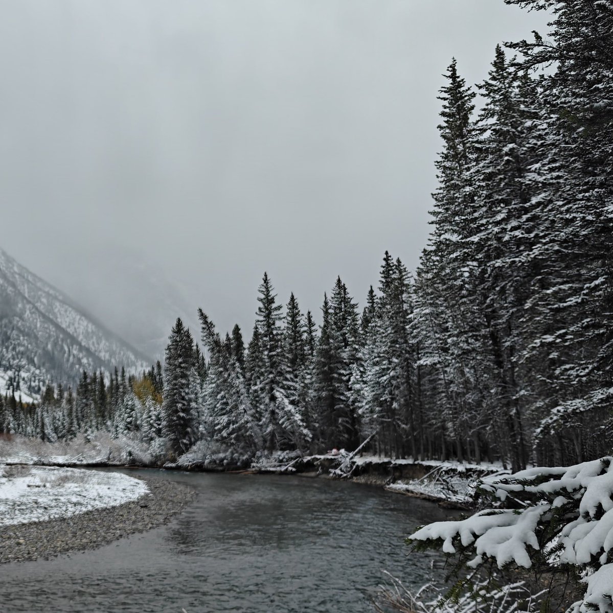 Lots to be grateful for this #Thanksgiving 🇨🇦 
#FirstSnow