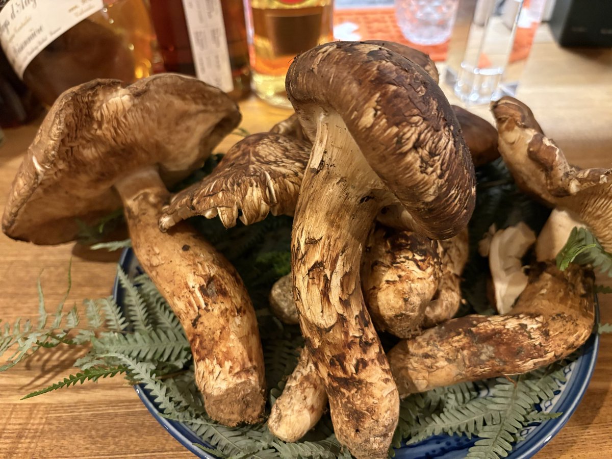 昨日の「日本酒と松茸の会」にご参加いただきました皆様ありがとうございます。
国産松茸まだ3本残ってますので御来店お待ちしております。

「ワインとウイスキーと創作料理の店」
Wine bar &amp;cellar concombre
#concombre  #コンコンブル
#芝公園バー   #芝公園ワイン
#バー飯　
#ウイスキー