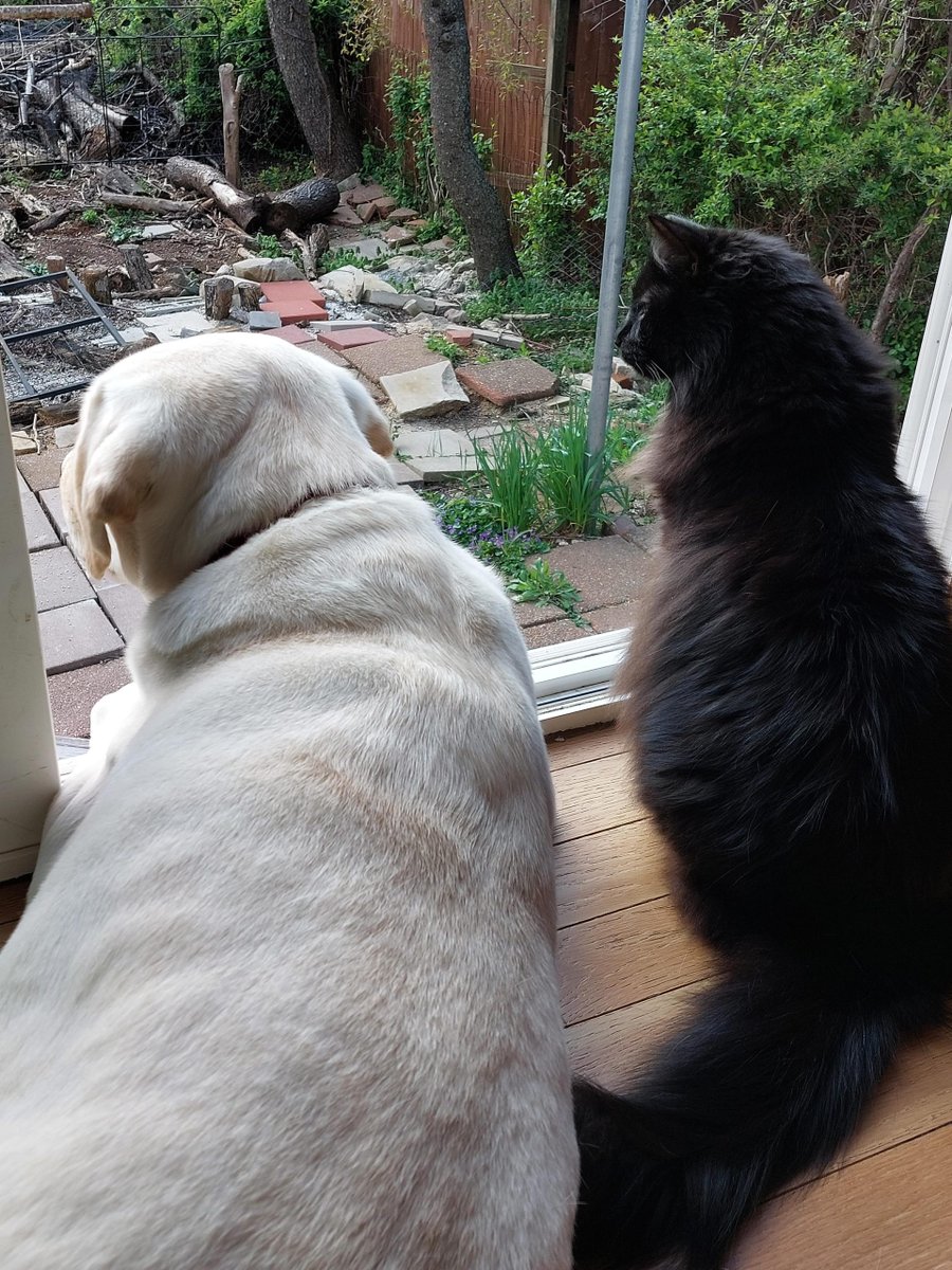 Links 10/14/2025 dlvr.it/TNg6Xc