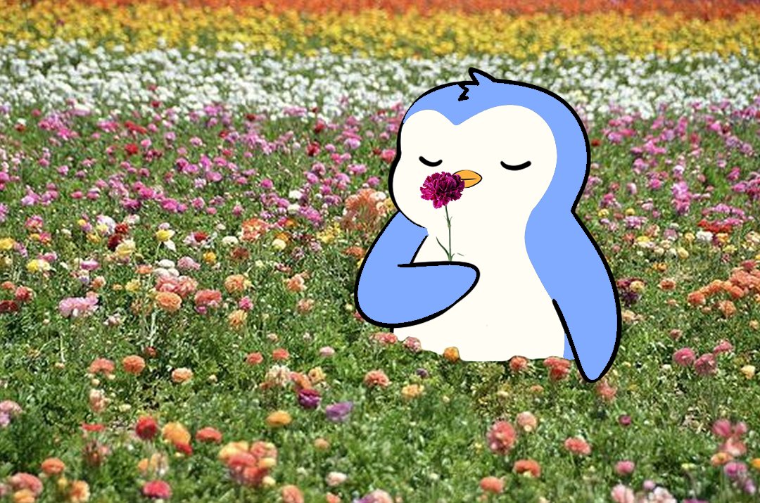 $PENGU Morning 

Big week 
Big day