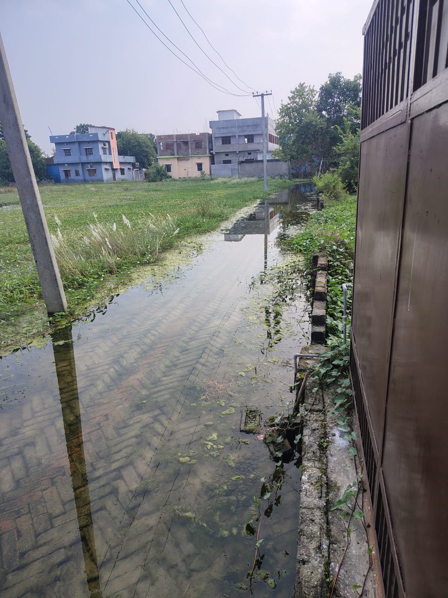 RavishK17201848's tweet photo. @BiharCMO @NitishKumar @BegusaraiDM @BegusaraiPolice @UDHD_Bihar @BiharDST @PMOIndia
Please intervene and help the people of this neglected area! Massive water logging in Begusarai ward no. 28

#Begusarai #Waterlogging #BiharFloods #UrbanNeglect #DrainageCrisis https://t.co/mKbdNwkgsA
