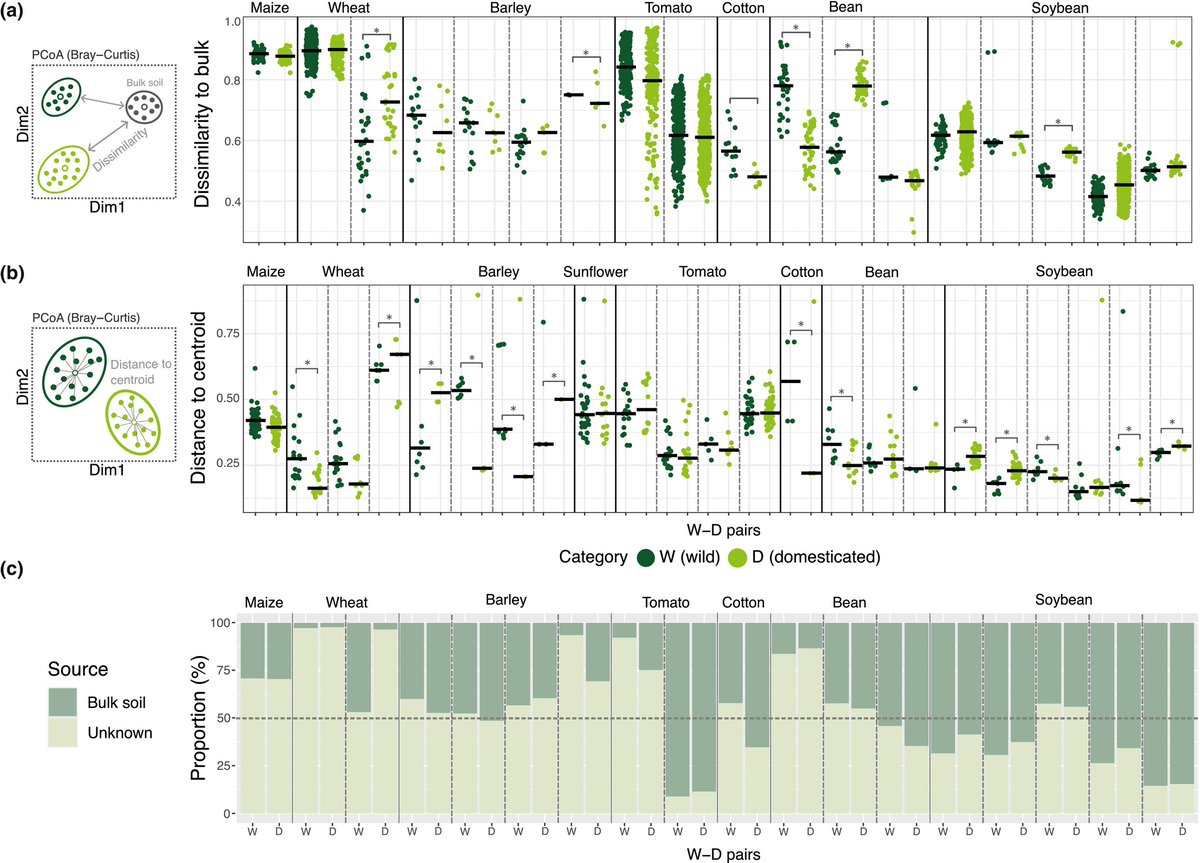 Rhizosphere bacterial communities defy expectations: domestication doesn’t always lower diversity

Hernández-Terán et al. <a href="/ipomeaP/">Ale</a> <a href="/anaelena2777/">Ana E. Escalante</a> @mrebolleda

📖 nph.onlinelibrary.wiley.com/share/IQ5WJQUD…