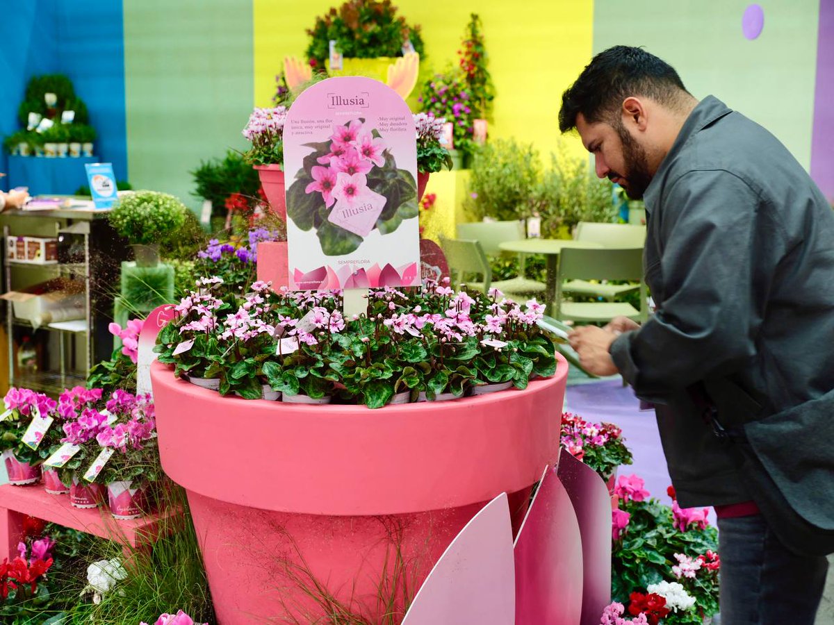 Gran ambiente en las primeras horas de celebración de Iberflora 🙂

Del 14 al 16 de octubre en <a href="/Feria_Valencia/">Feria Valencia</a>