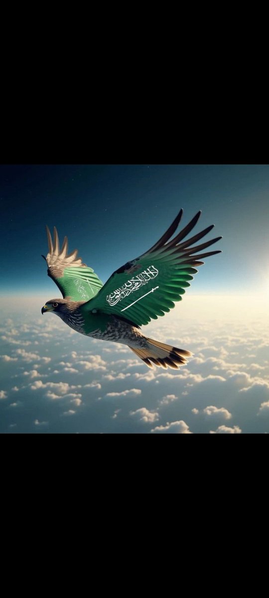 Muhamme58297468's tweet photo. @AzizbagBag بالتوفيق لمنتخبنا الوطني للوصول لمونديال كأس العالم.
💚💚💚💚💚💚💚
الله يسعدك ويكثر خيرك 🤲🏻
باذن الله تعالى 
الفوز سعودي 
وتاهل لكأس العالم
💚💚💚🇸🇦💚💚💚
#السعوديه_العراق 
#تصفيات_كاس_العالم 
#تصفيات_كاس_العالم2026 
@AzizbagBag https://t.co/ZputMqFUAZ