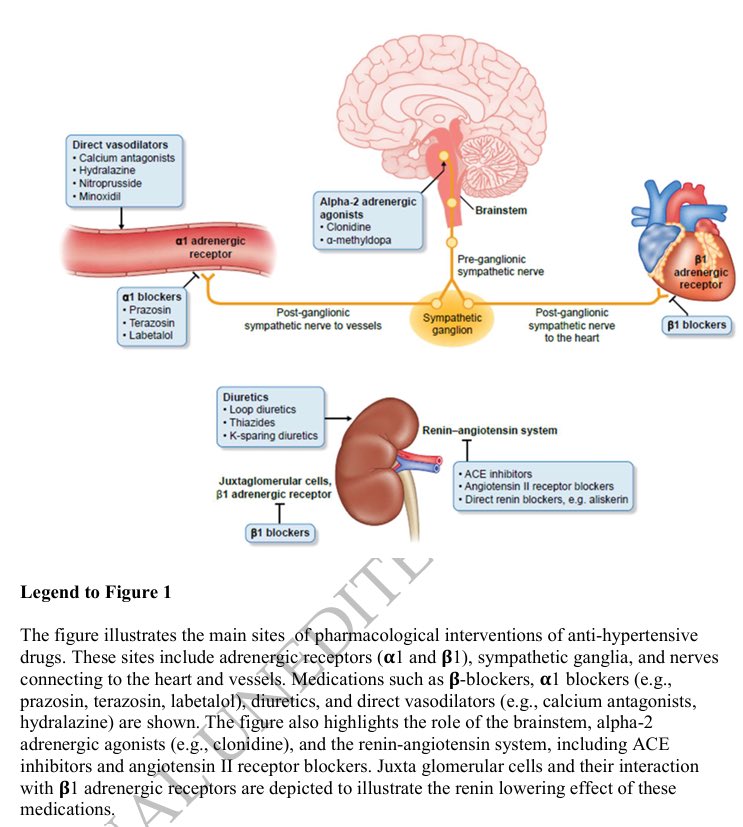 💊Antihypertensives in Dialysis

doi.org/10.1093/ckj/sf…

<a href="/CKJsocial/">CKJ</a> 

✍️Always check for dialyzability of drugs before prescribing